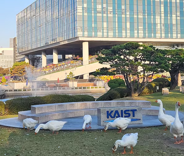 의대 가려고 과학고 조기졸업 악용 KAIST가 거부한다