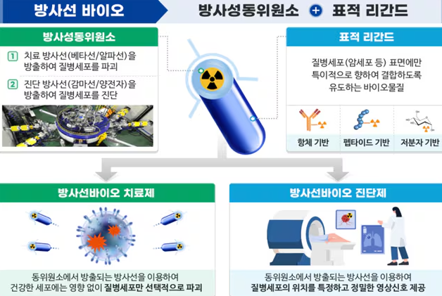 전립선암 방사성동위원소 악티늄 국내 생산시대 열린다